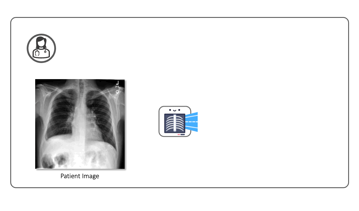 Animated GIF to illustrate BiomedJourney capability. Given a previous radiology image and text instruction, BiomedJourney generates a new counterfactual radiology image.