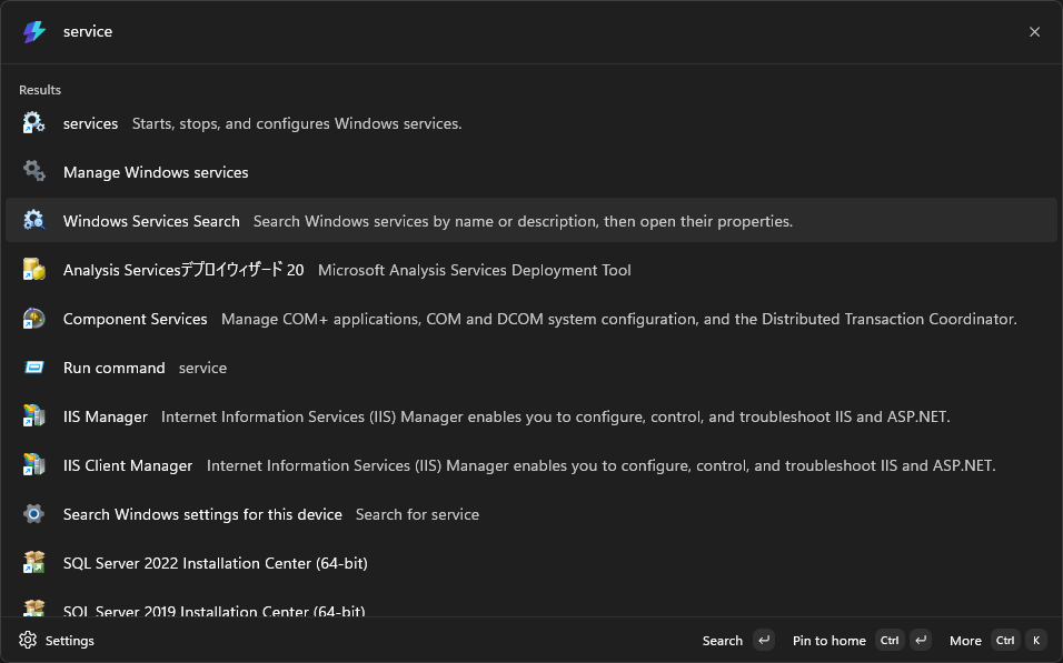 Services Search interface screenshot 1 of 3