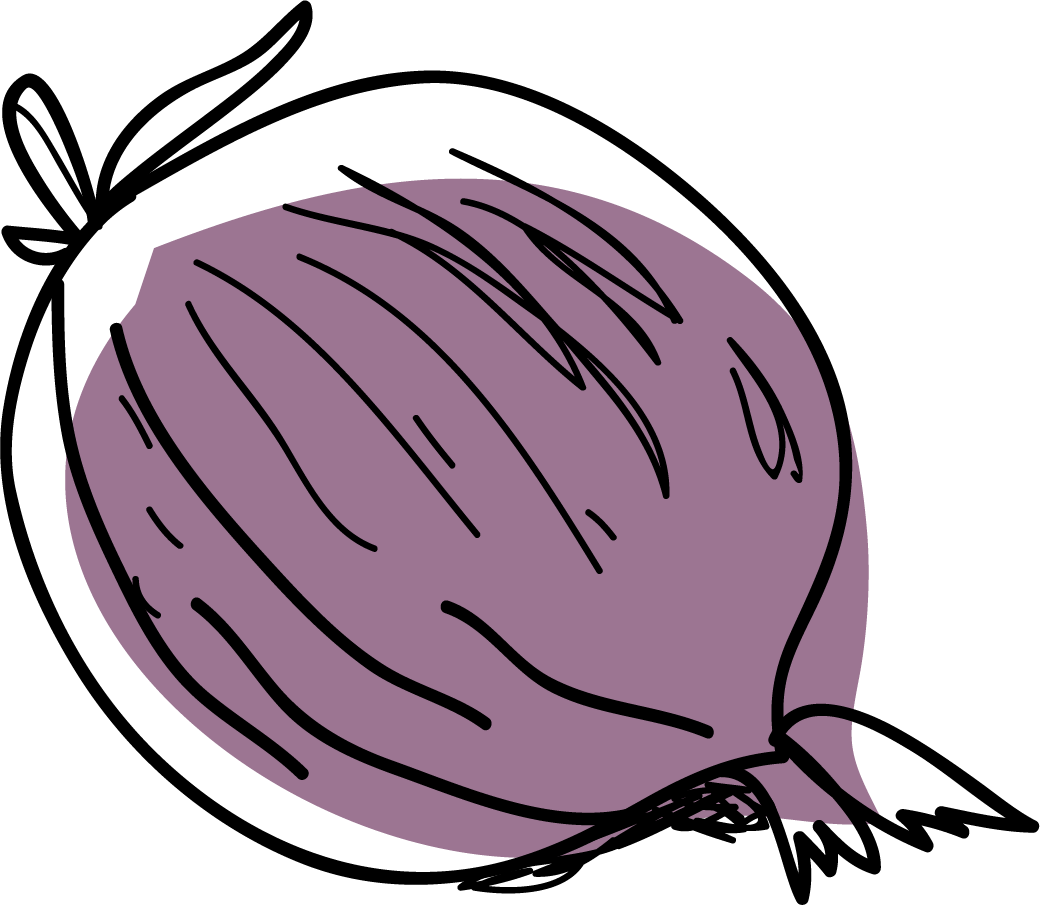 An illustration of a red onion.