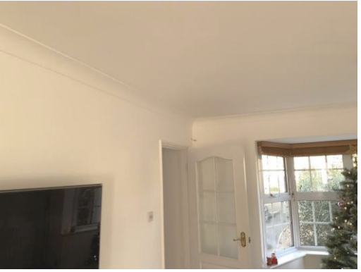 Object Width Estimation