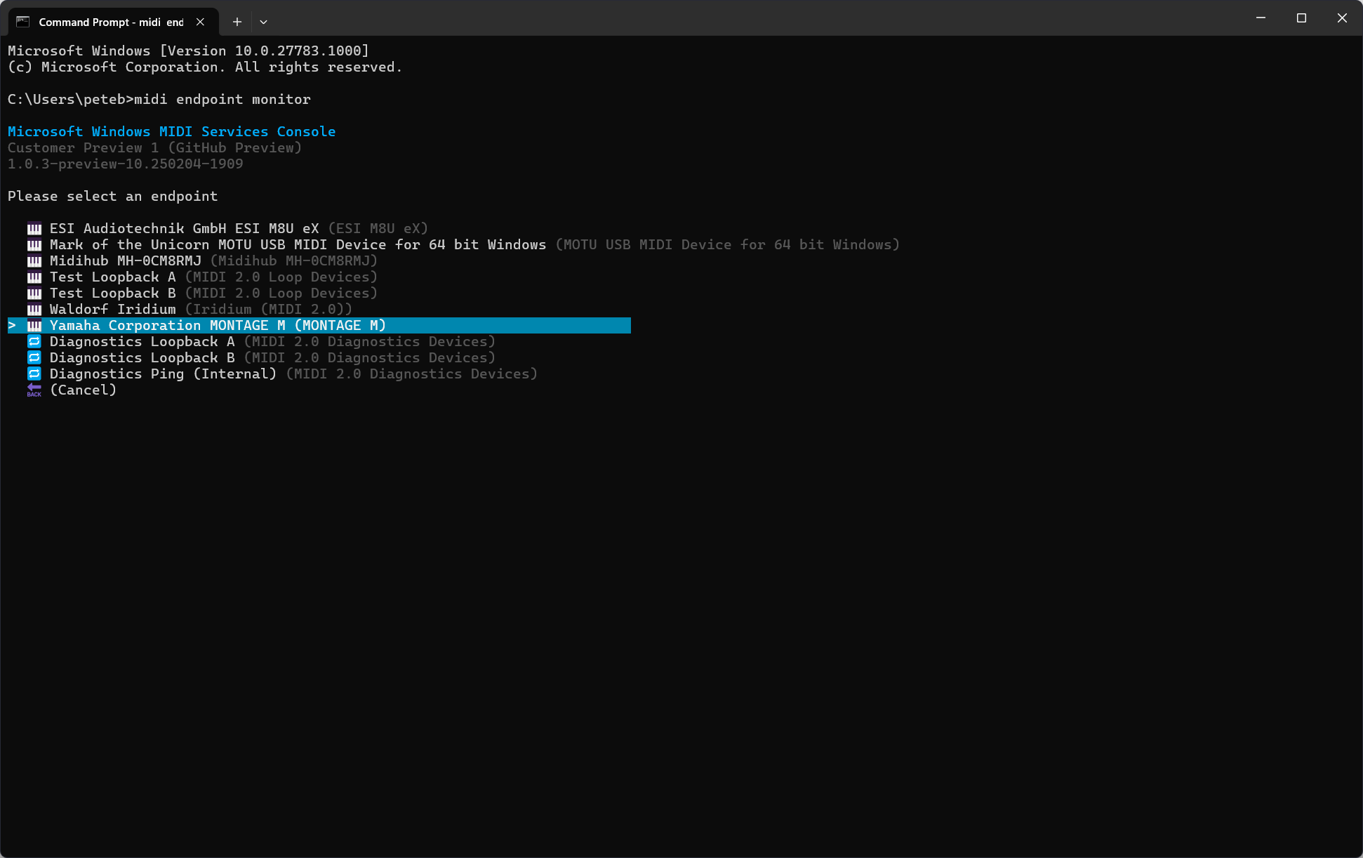 midi endpoint prompt
