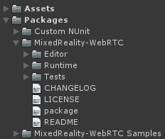 Packages in the Project window