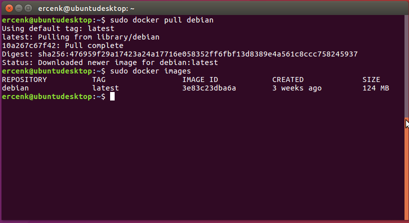 A code window displays one image file, the results of the docker pull.