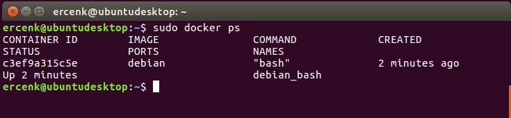 The previous code displays with the following results columns: Container ID status Image Ports, Command Names, and Created.