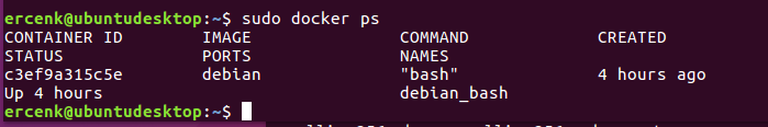 The previous command displays with the following results columns: Container ID status, Image Ports, Command Names, and Created.