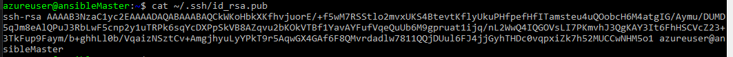 Screenshot of ssh public key output after calling the content of the id_rsa.pub file 