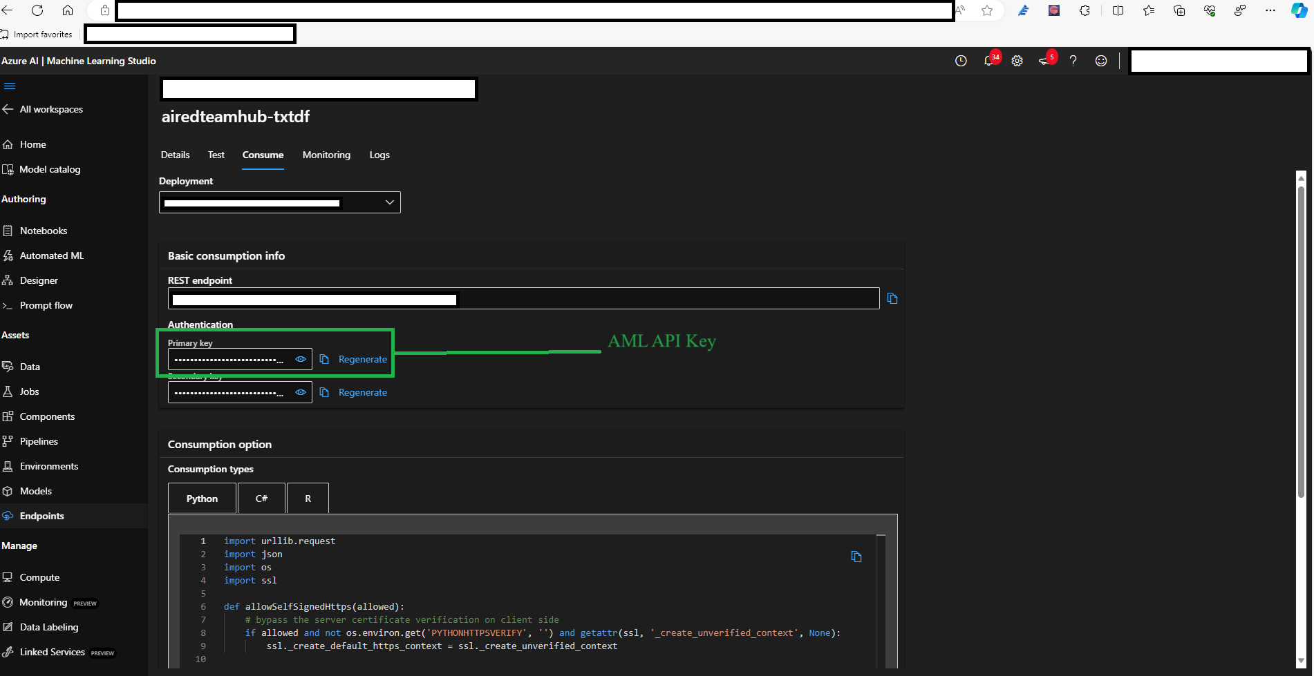 aml_managed_online_endpoint_api_key.png