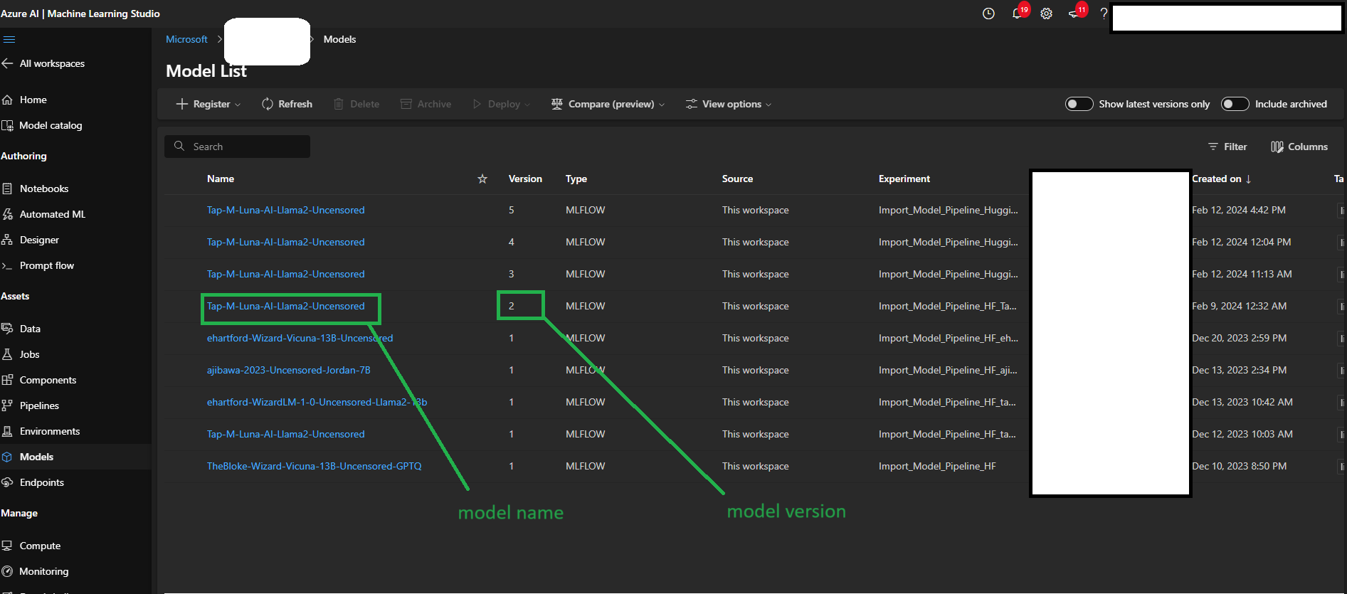 AML Workspace model