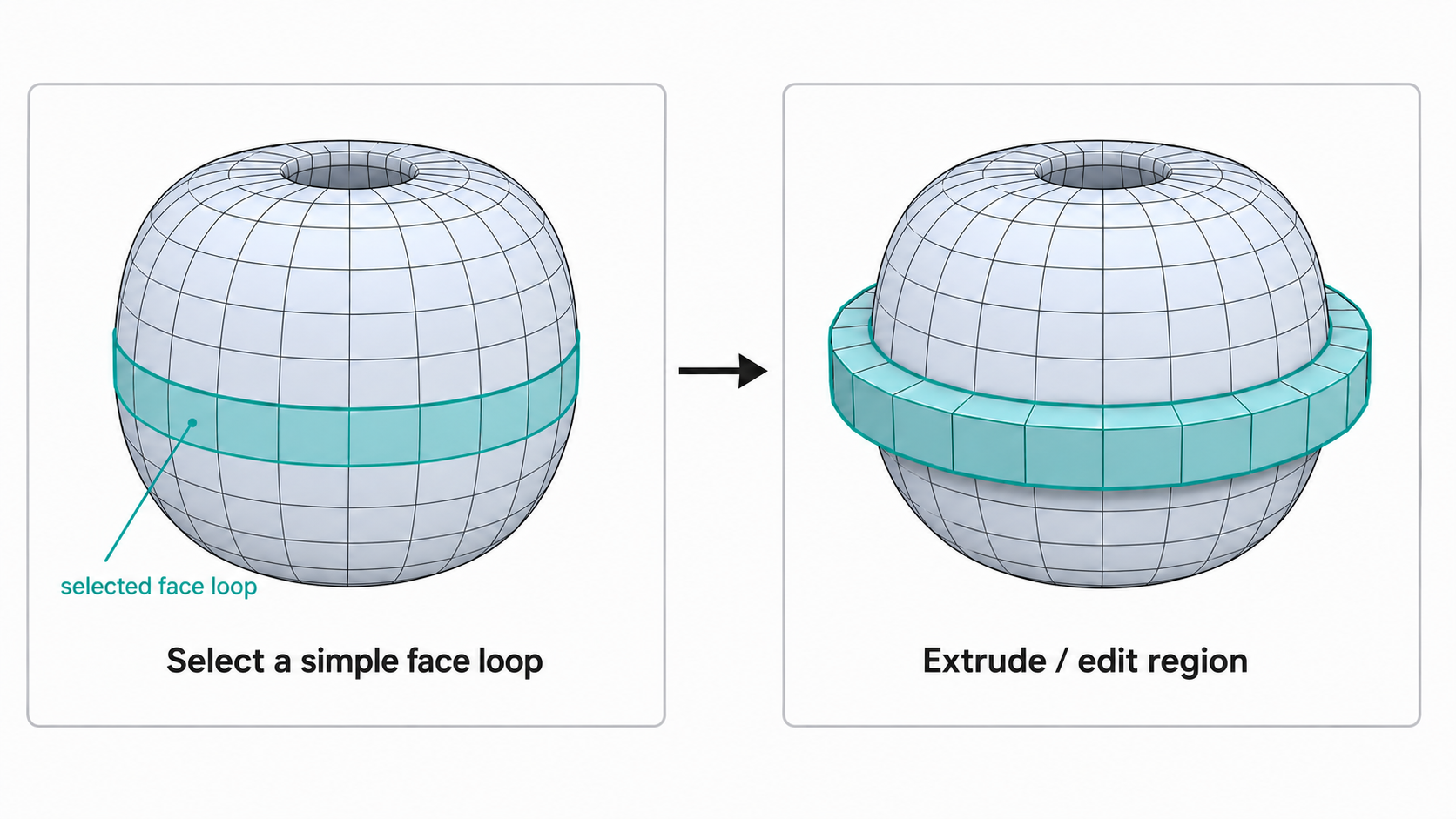 Selecting a loop on a simple quad layout and editing it with extrusion