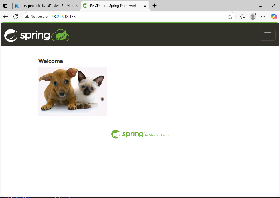 petclinic-on-azure.png