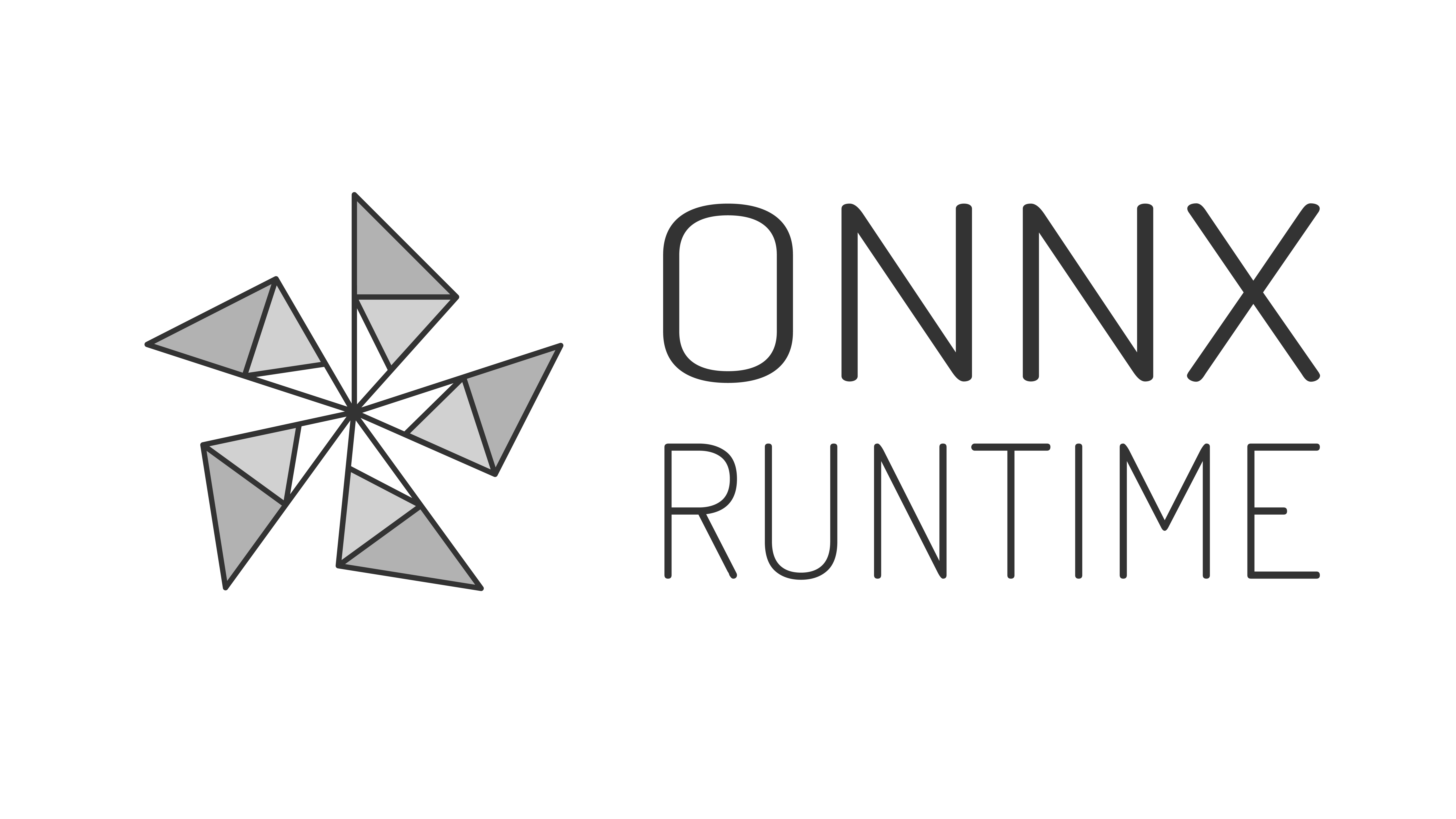 Onnx Runtime ROS Node