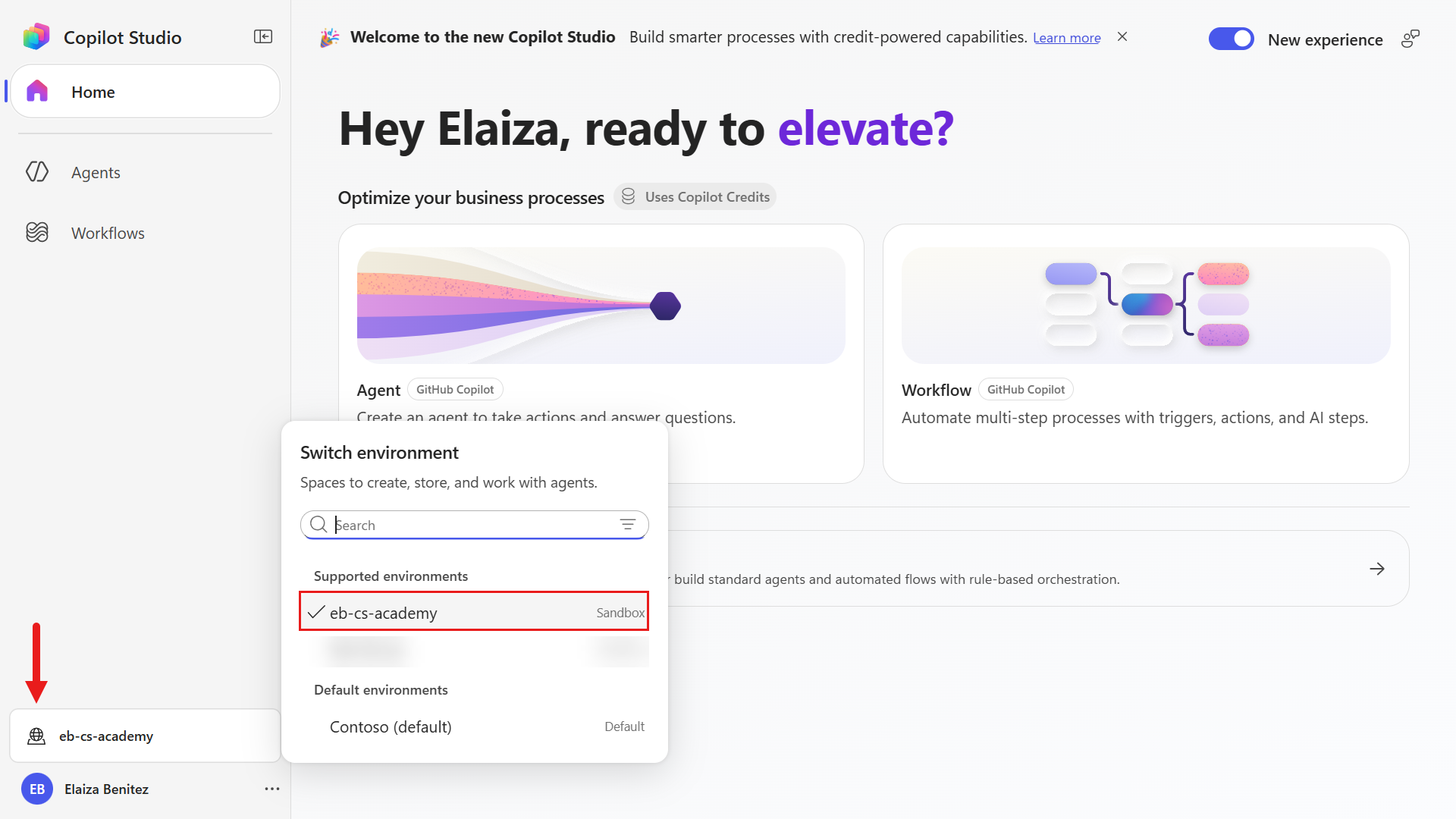 Select the Power Platform developer environment