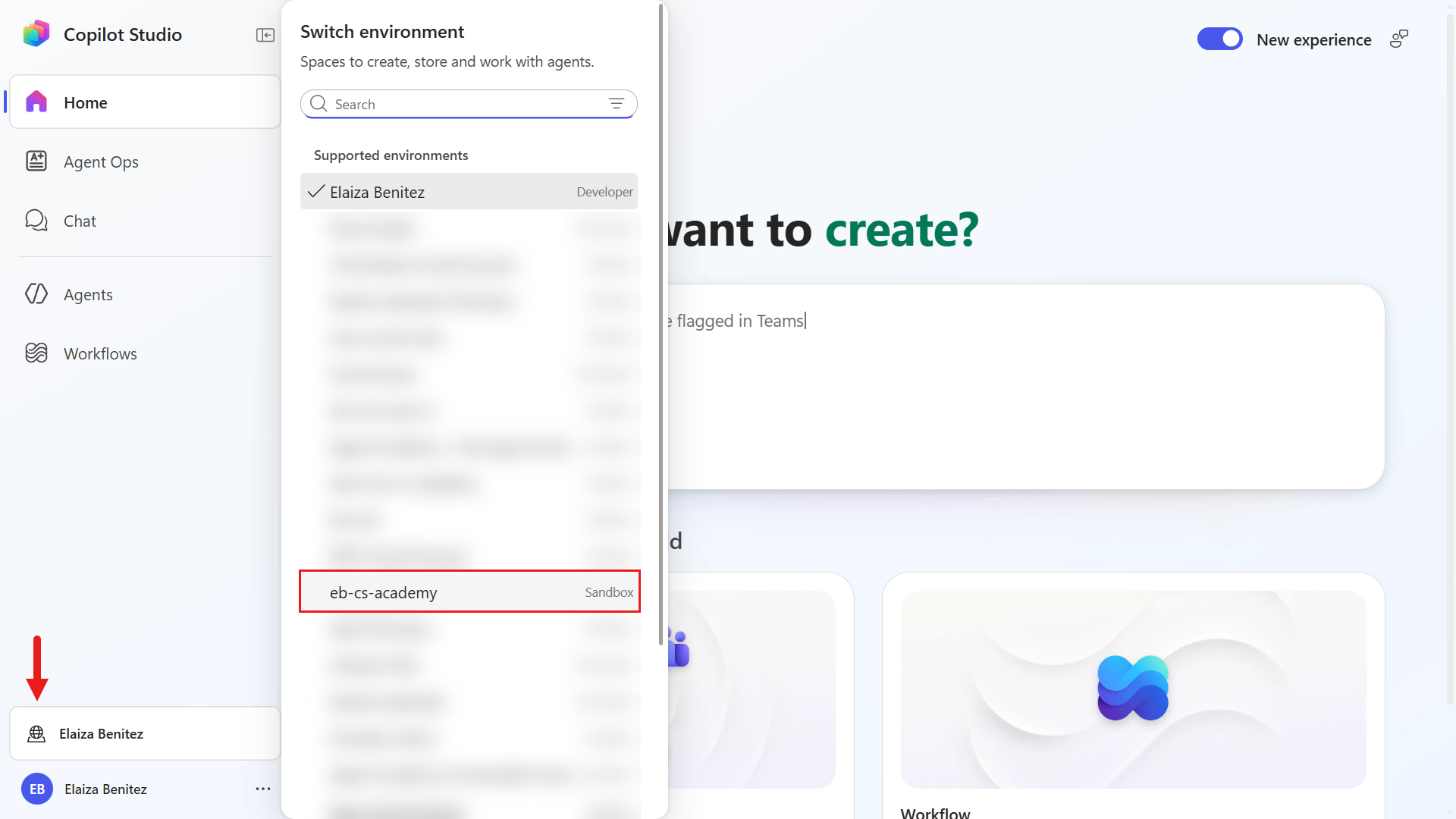 Select the Power Platform developer environment