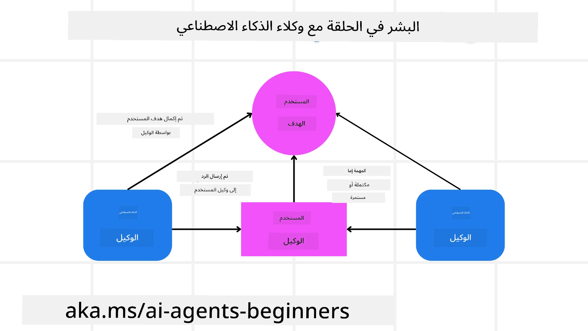 الإنسان في الحلقة