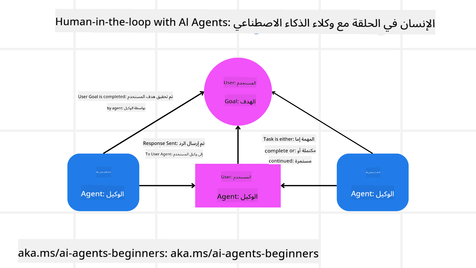 الإنسان في الحلقة