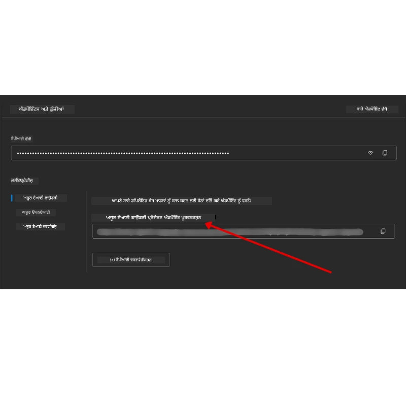 Project Connection String