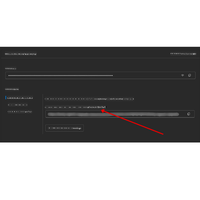 Project Connection String