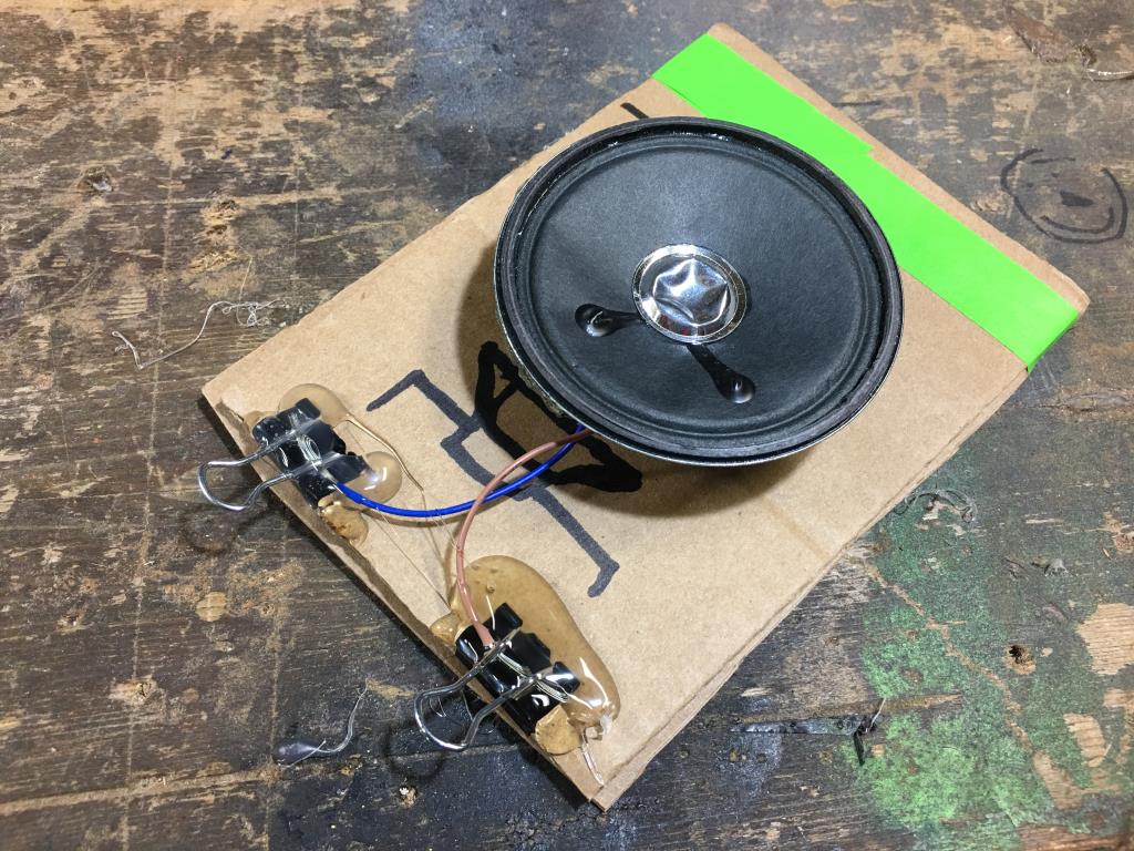 A speaker module
