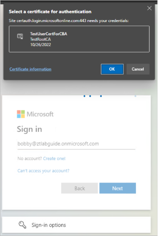 Graphical user interface, application, Teams Description automatically generated