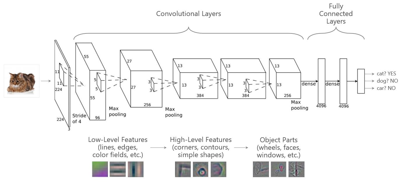 CNN architecture