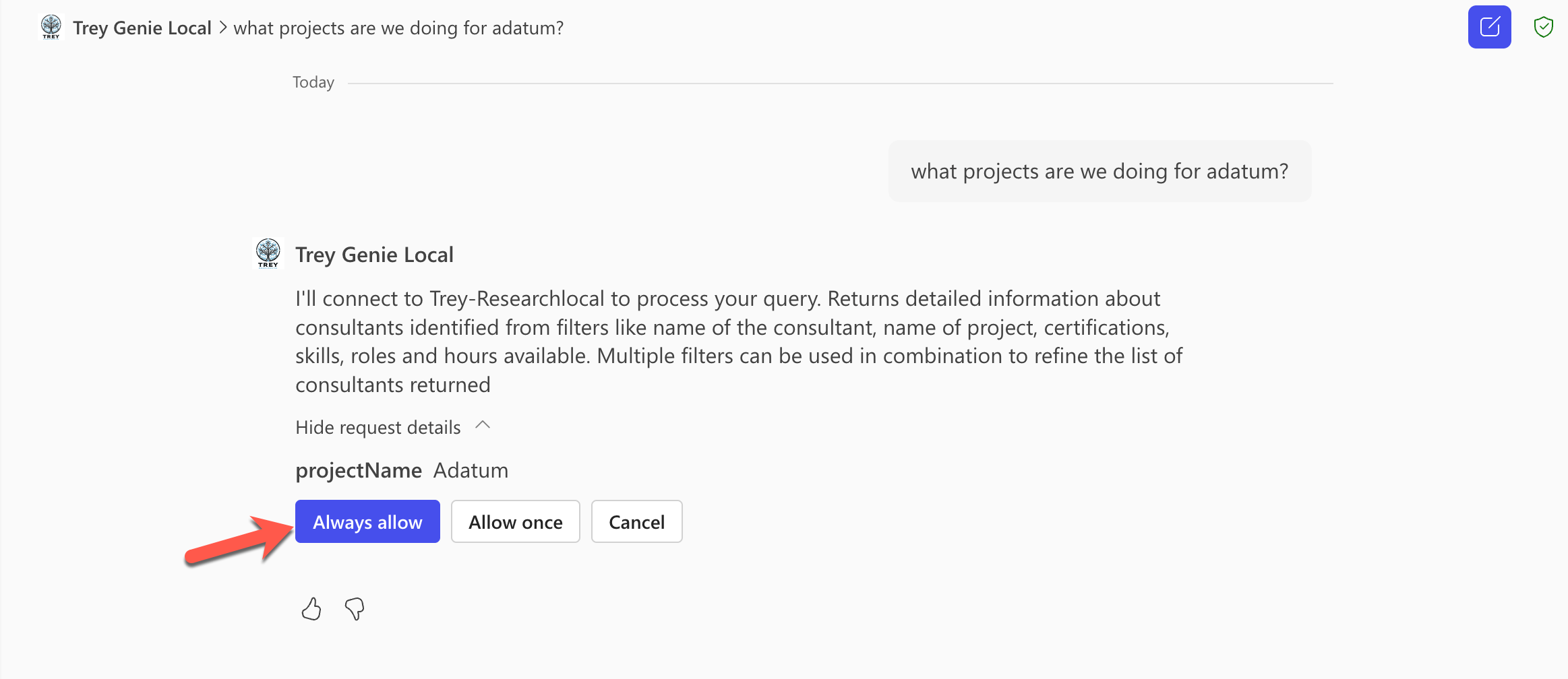 Microsoft 365 Copilot prompting the user with a confirmation card to allow invoking the API plugin. There are three buttons to 'Always allow', 'Allow once', or 'Cancel' the request.