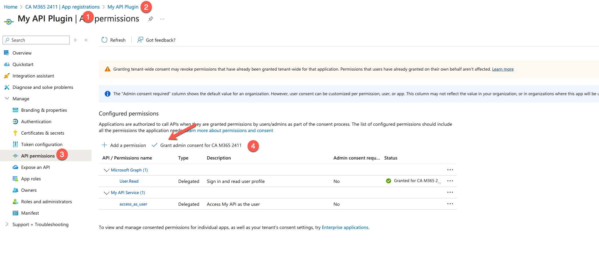 The 'API permissions' page of the 'API Plugin' application registered in Microsoft Entra with the 'Grant admin consent ...' command highlighted.