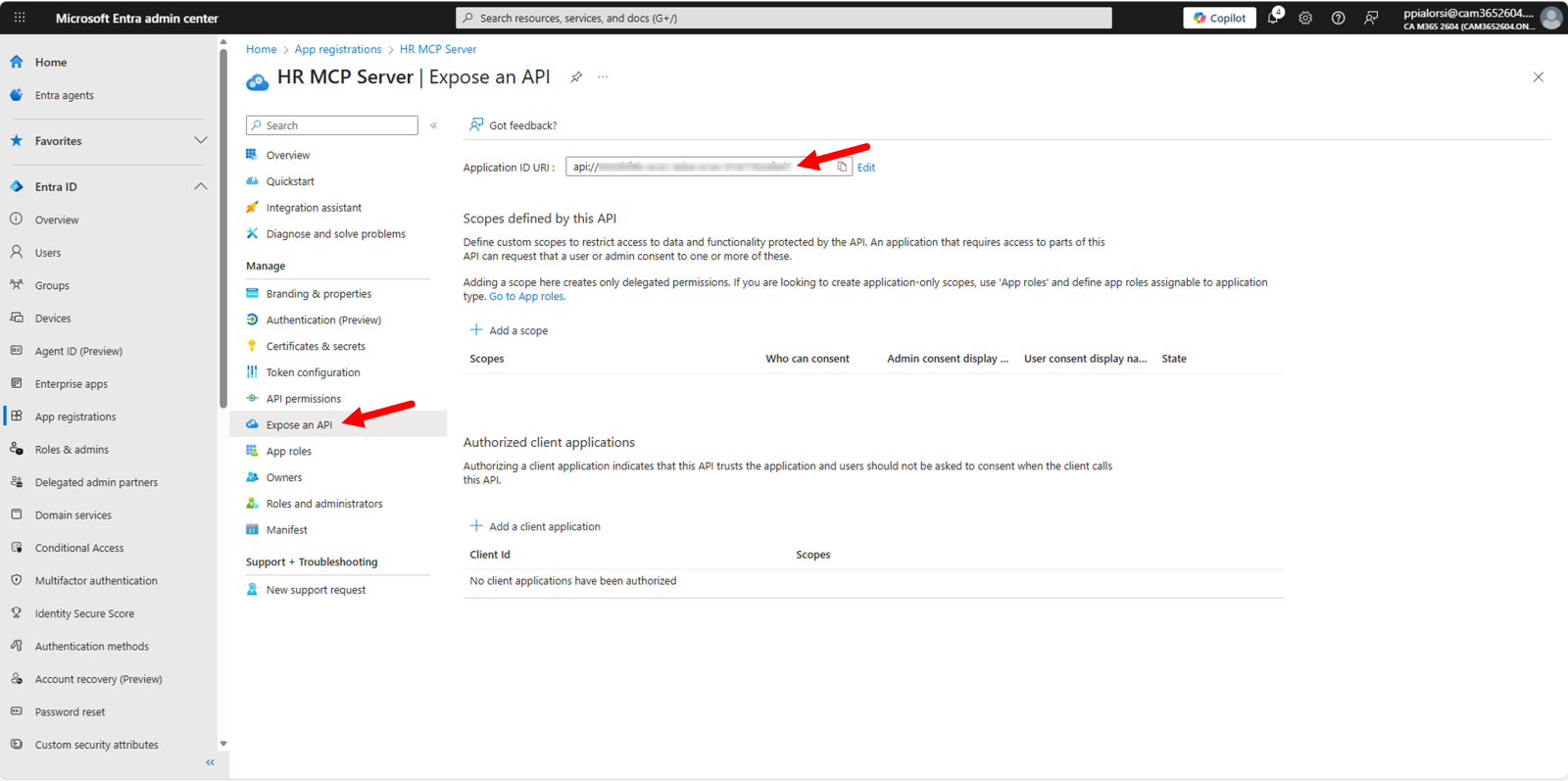 The Expose an API page showing the Application ID URI configuration.