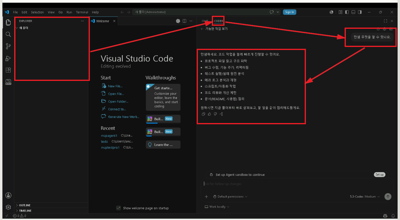 Codex 응답 확인
