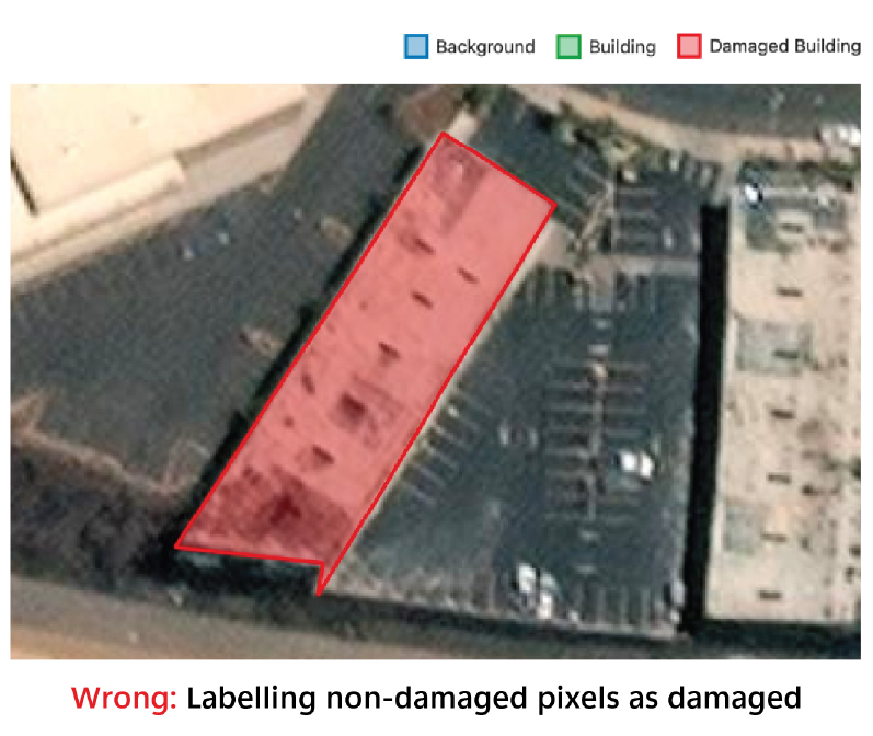 Label relevant portions only, wrong