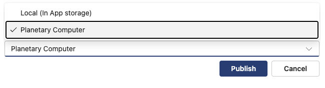The target publishing location dropdown showing Local and Planetary Computer