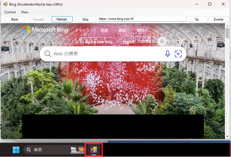WebView2 Sample Application