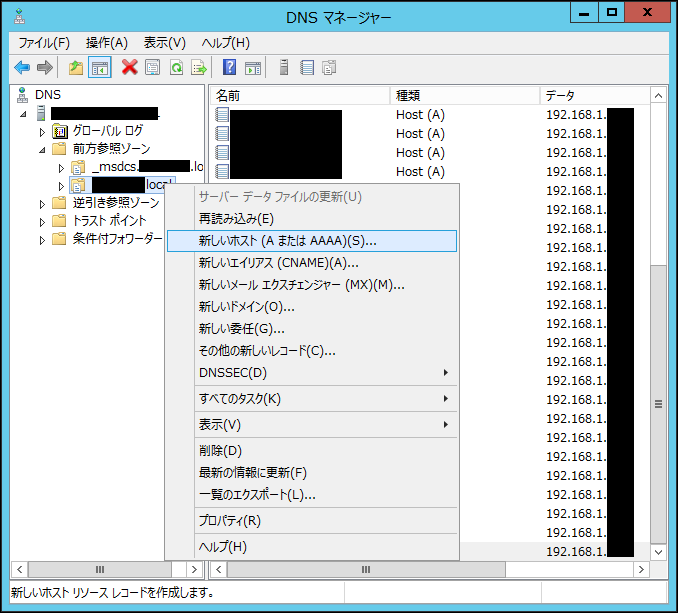 DNS1