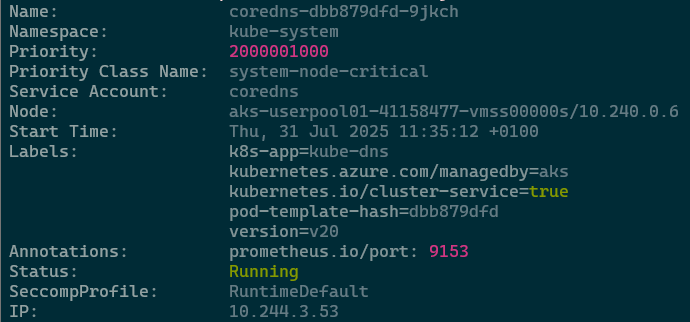 Kubectl Describe