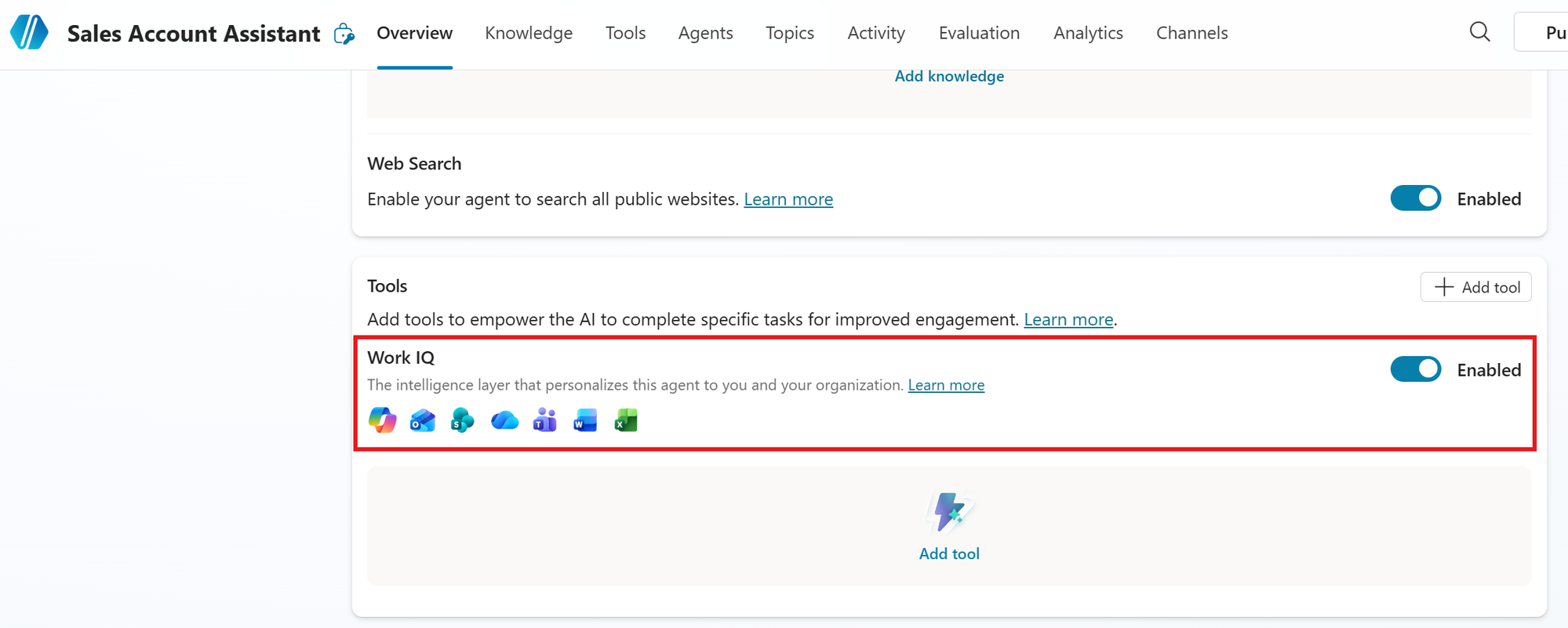 Overview — Tools section with Work IQ enabled and Add tool button