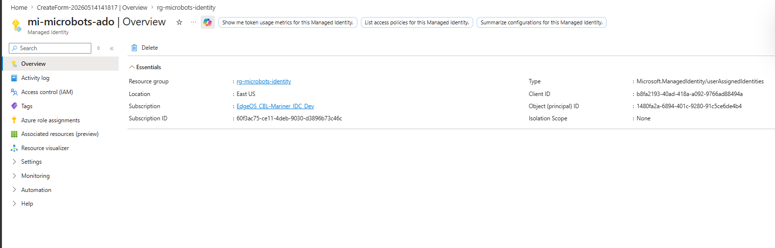 Azure portal — Managed Identity Overview blade showing Client ID and Object (principal) ID