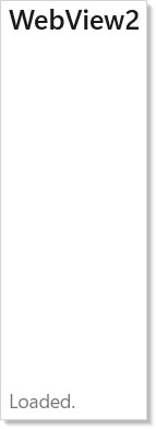 WebView2 hosting about:blank