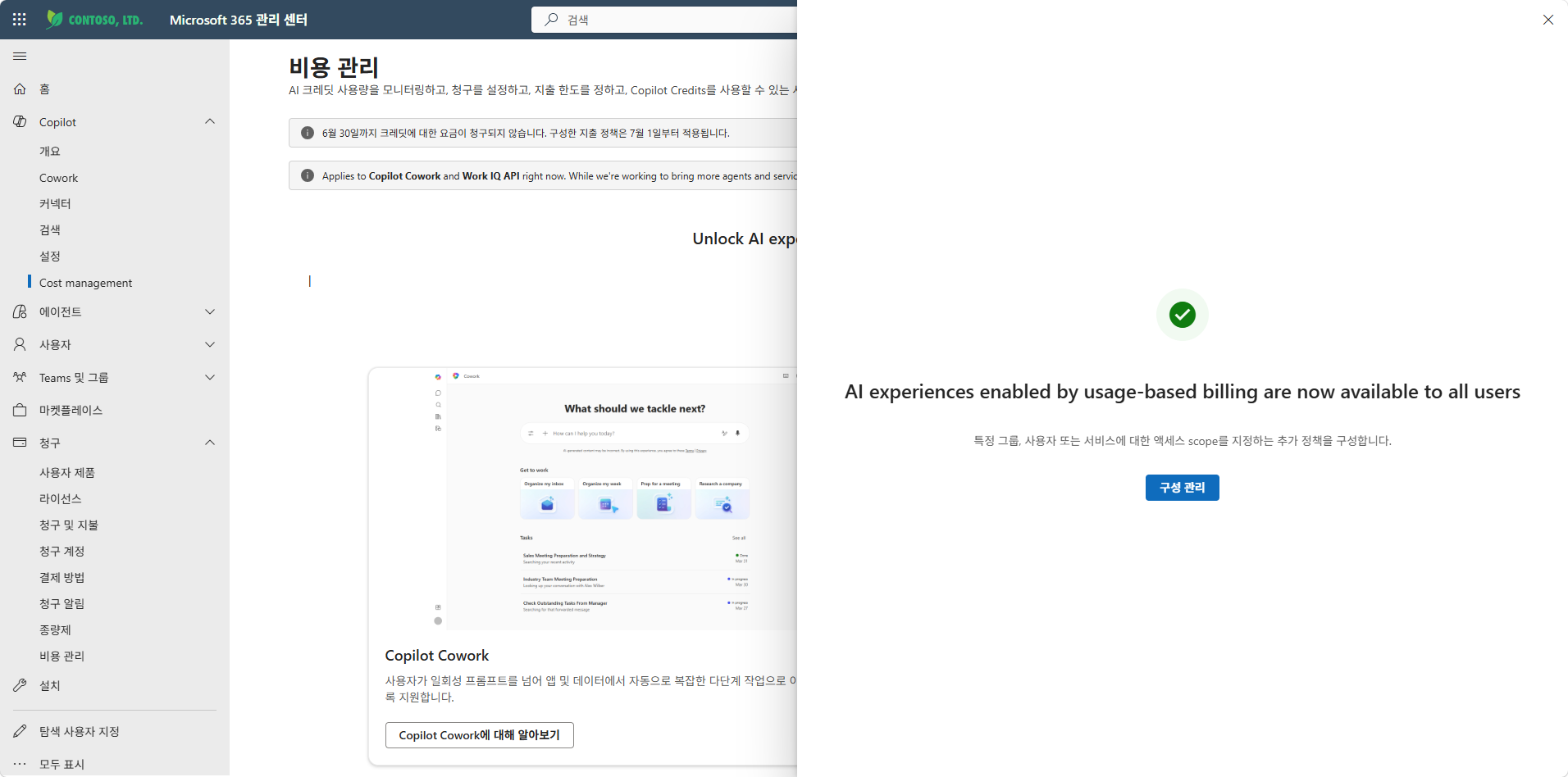 활성화 성공 — AI experiences enabled by usage-based billing