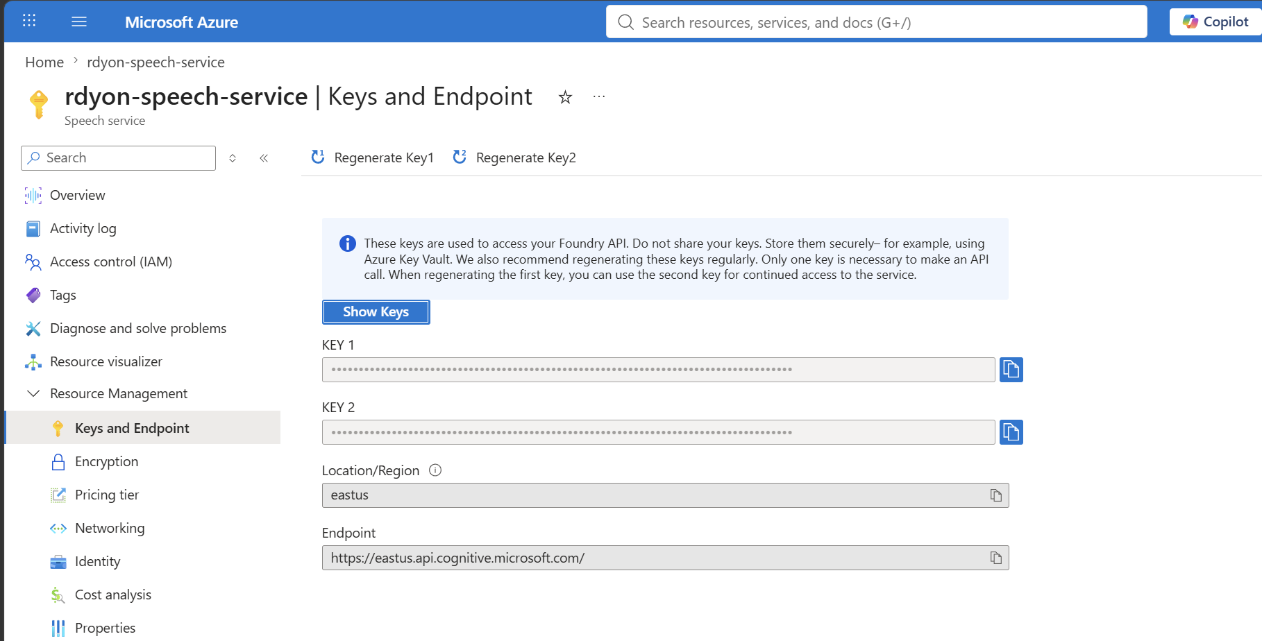 Speech 리소스의 Keys and Endpoint 블레이드