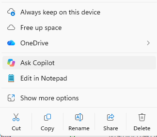 공지에 포함된 OneDrive Copilot 메뉴 변경 화면 2