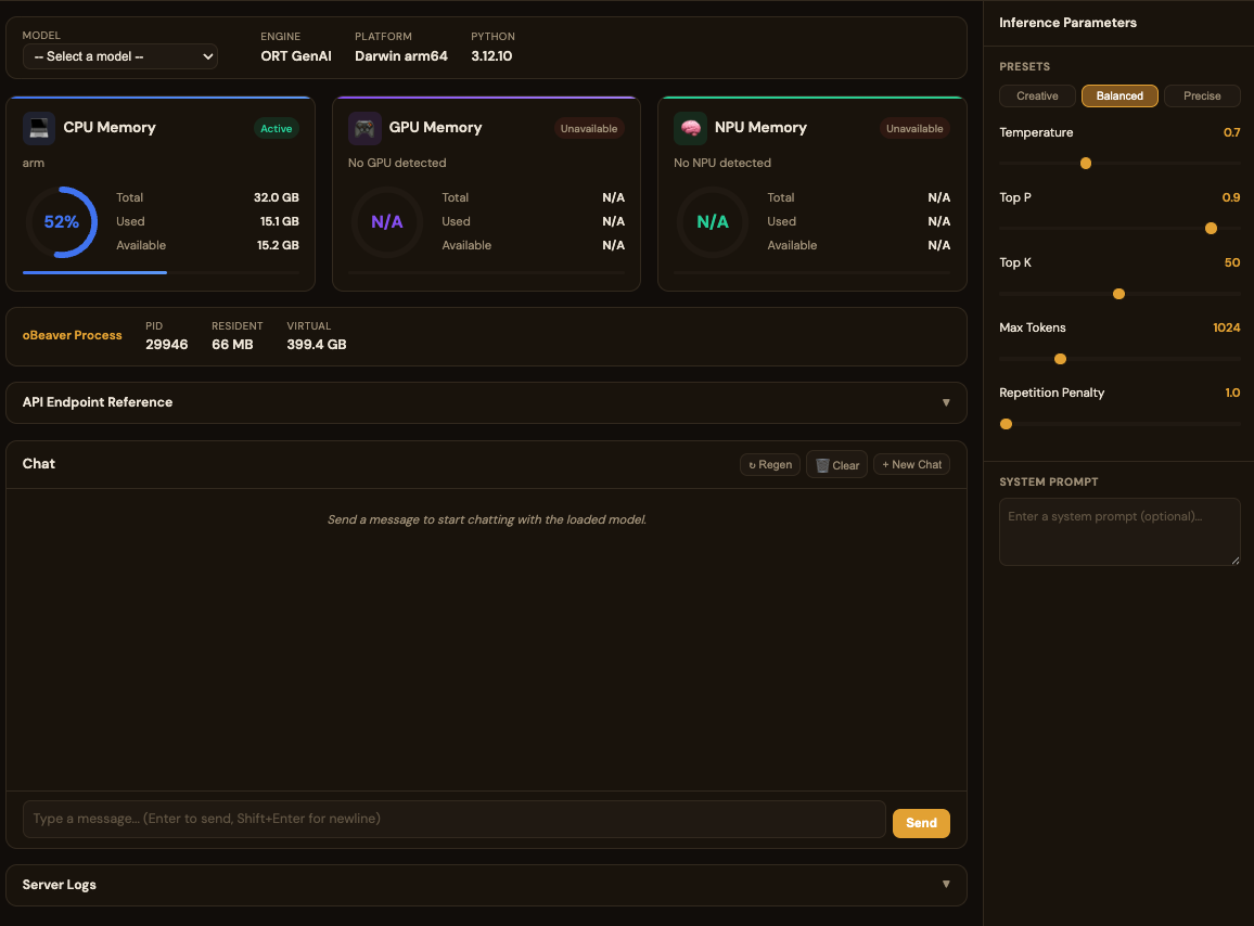 ORT model selector showing local ONNX models