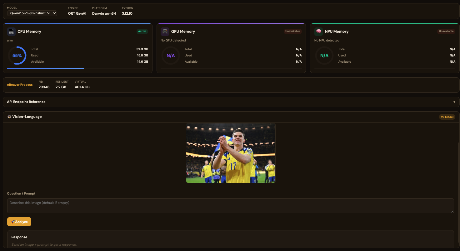 ORT VL interface — image URL input and prompt