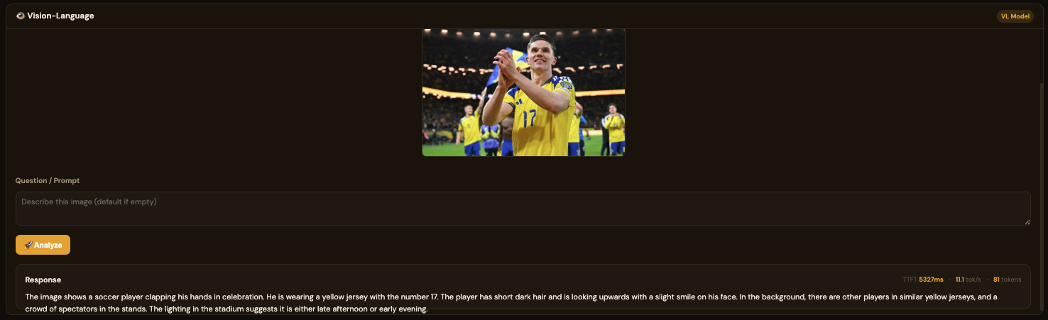 ORT VL result — model describing the image