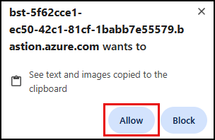 The allow button in the see text and images copied to the clipboard dialog is highlighted.