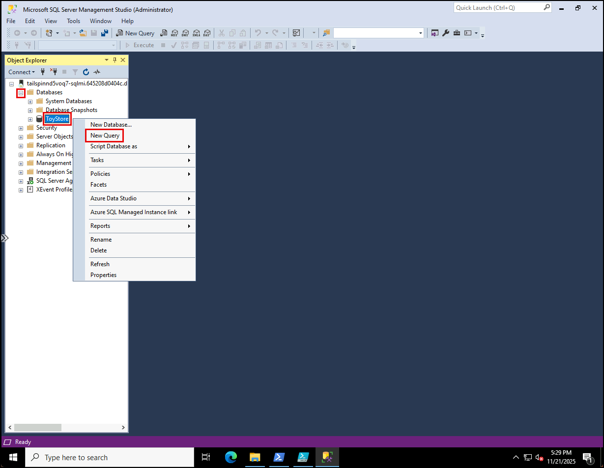 New Query is highlighted in the right-click context menu for the ToyStore database.